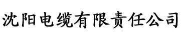 韩剧《保姆》电缆厂logo